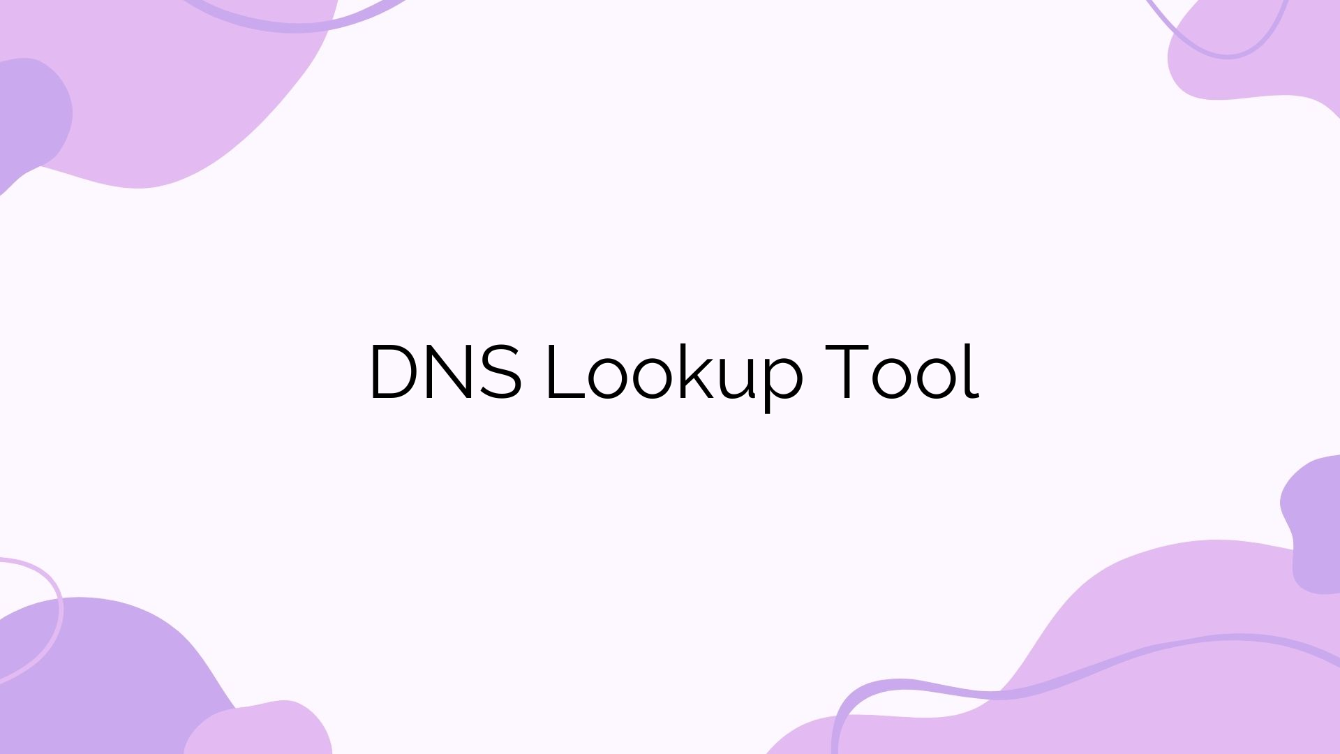 DNS Lookup Tool