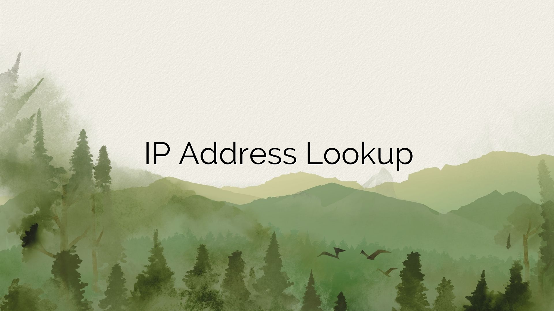 IP Address Lookup