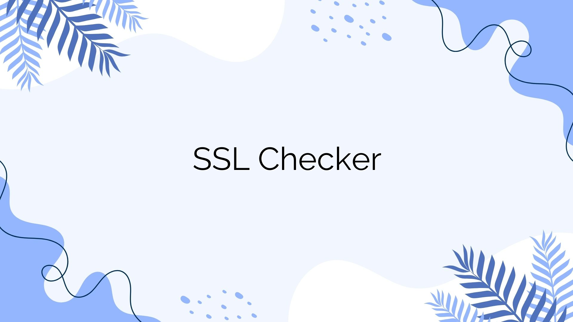 SSL Checker